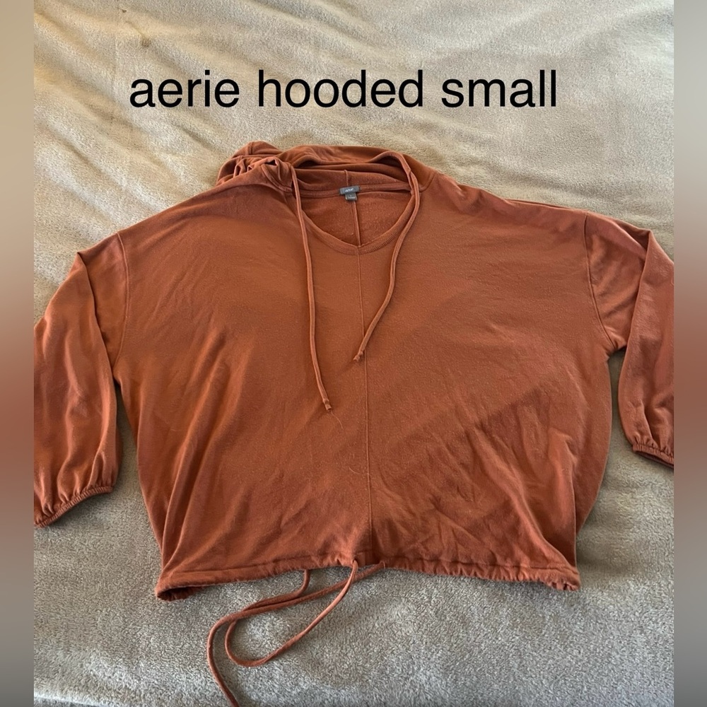 Aerie Rust Hooded Sweatshirt